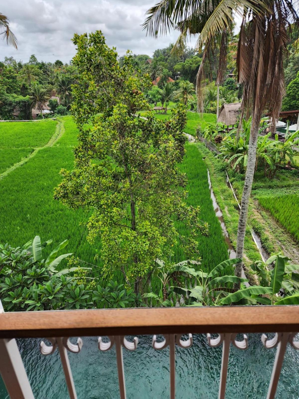 Motama Villa Ubud  Ngoại thất bức ảnh