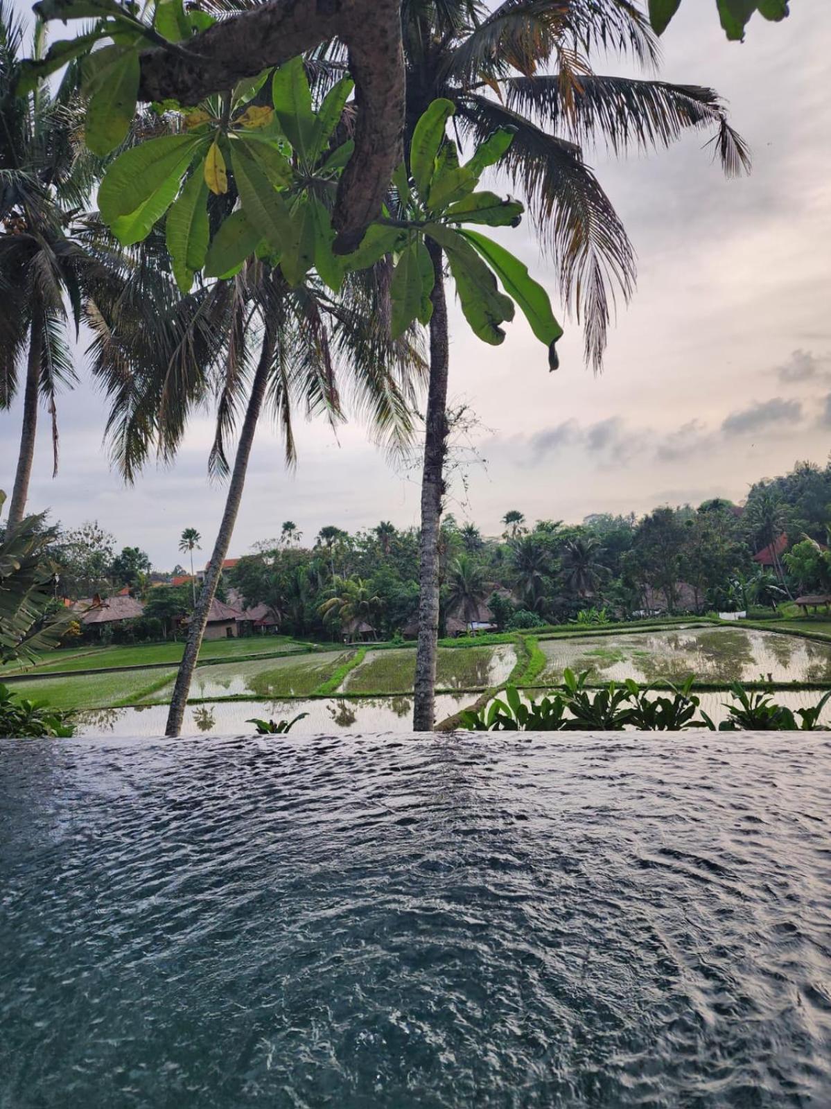 Motama Villa Ubud  Ngoại thất bức ảnh