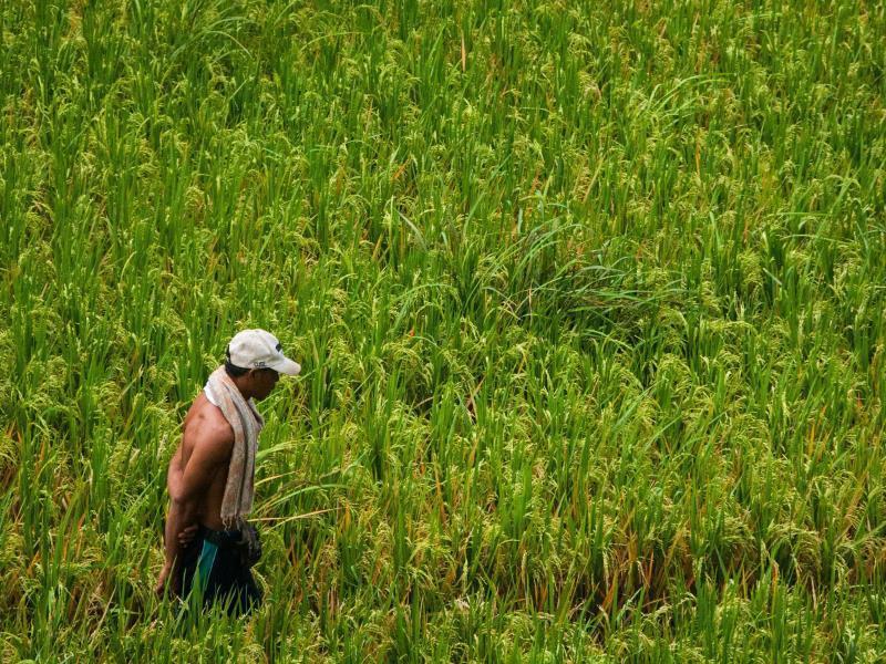 Motama Villa Ubud  Ngoại thất bức ảnh